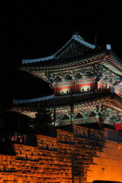 korea catle