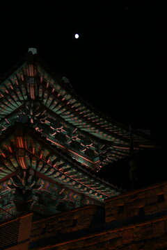 korea catle