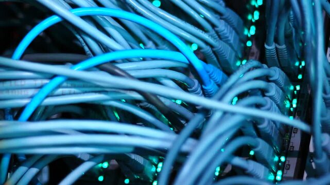 Ethernet cables close up. 10/100/1000 Mbps speed. 