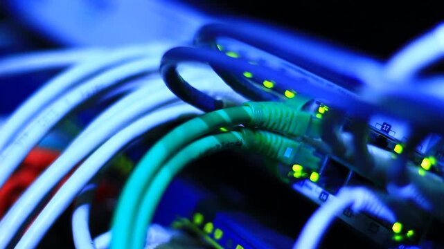 Ethernet cables close up. 10/100/1000 Mbps speed. 
