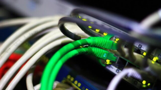 Ethernet cables close up. 10/100/1000 Mbps speed. 