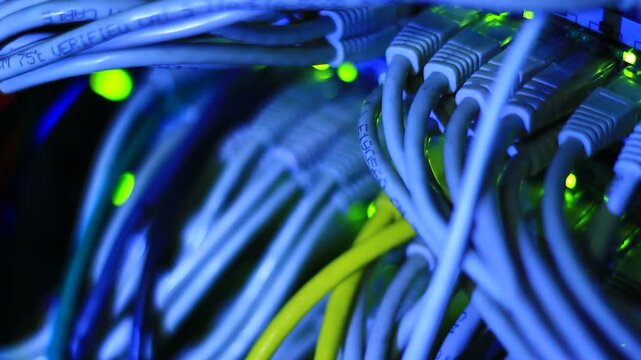 Ethernet cables close up. 10/100/1000 Mbps speed. 