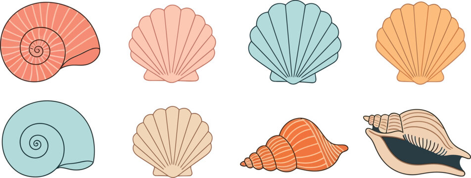 Colorful illustrated seashells and marine life collection