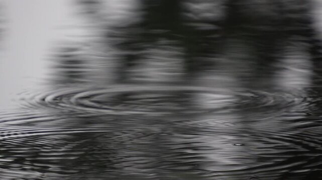 Moody raindrops creating geometric circular waves on dark pond surface with soft light reflections.