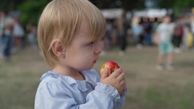 Child kid eating apple fruit outdoor. Happy childhood and healthy food. A small child, a toddler, can't yet eat a whole uncut apple; he diligently learns to bite into it.