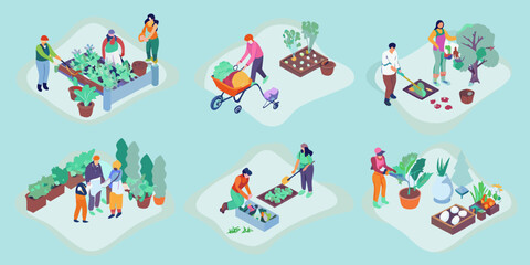 Isometric gardening scenes depict people cultivating plants and vegetables © bashanti