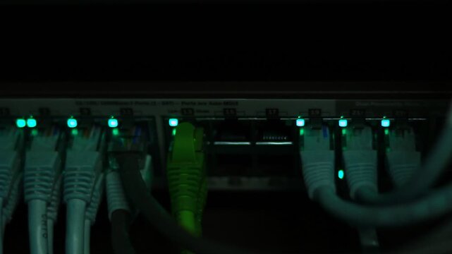 Ethernet cables close up. 10/100/1000 Mbps speed. 