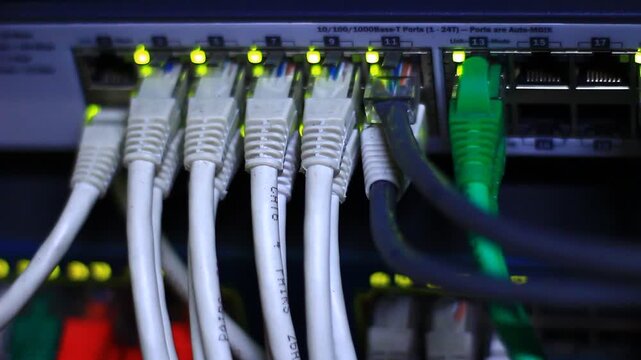 Ethernet cables close up. 10/100/1000 Mbps speed. 