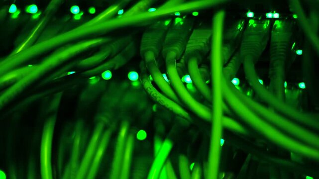 Ethernet cables close up. 10/100/1000 Mbps speed. 
