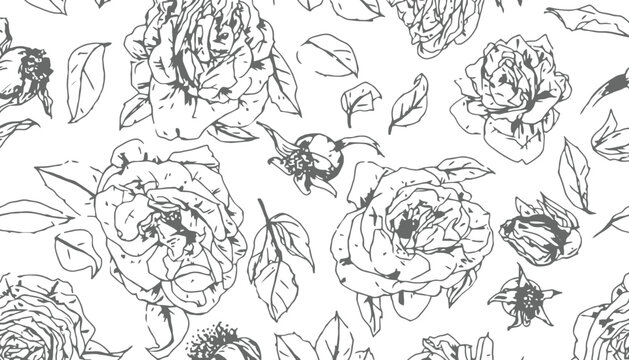 Floral pattern seamless background hand drawn rose flowers