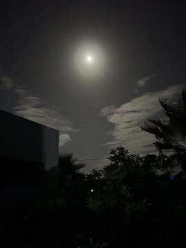 Full Moon Night Sky Over Tropical Palm Trees and Buildings in La Oliva Fuerteventura Spain