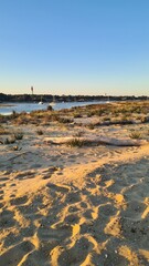 Le célèbre phare du Cap Ferret vu depuis la Flèche du Mimbeau et son beau paysage dunaire à l'heure du coucher du soleil (Bassin d'Arcachon, Aquitaine) © Arnaud