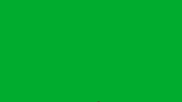 2d animation Shovel digging a pile of black soil dirt in garden animation on green screen. Steel spade tool scoop picking up ground mud for domestic farming agriculture or planting backyard workspace