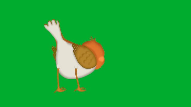 2d animation Bird profile standing calmly looking to the side animation on green screen. Cute robin sparrow songbird cartoon character with orange breast posing full length on a chroma key background