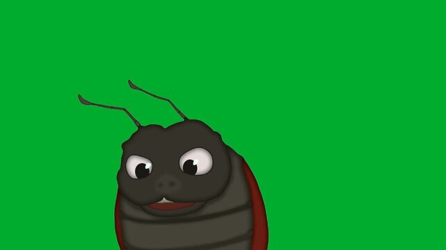 2d animation Beetle bug head peeking from the corner with big dark eyes animation on green screen. Black insect cartoon character close up layout portrait looking curious animation on green screen.