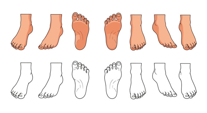 Human feet set in various poses and angles, colored and outline versions.