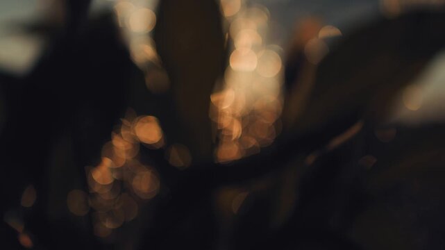 An extreme macro shot captures glowing raindrops on a window pane, turning light into shiny bokeh circles. Rain, bokeh, macro, glass, drop, glitter, shine, glow, light, magic, texture, pattern