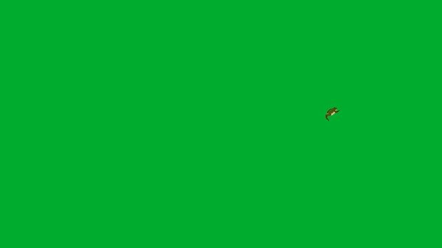 2d animation Fishes swimming in a distant group layout frame animation on green screen. Small scale school of brown trout salmon sea creatures moving together across clear water space animation