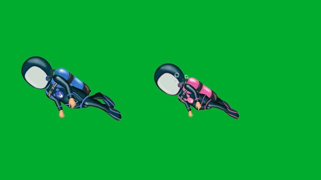 2d animation Divers exploring ocean depths together in full scuba gear kits animation on green screen. Two cartoon aquanaut characters swimming calmly in side profile layout perspective animation