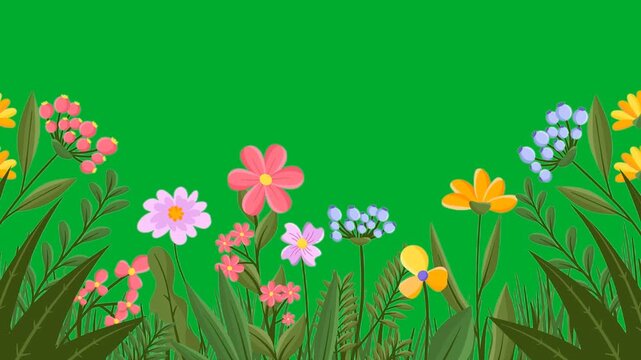 2d animation Floral border layout frame template with blooming colorful garden flowers animation on green screen. Beautiful spring meadow plants, roses and daisies background for environment design