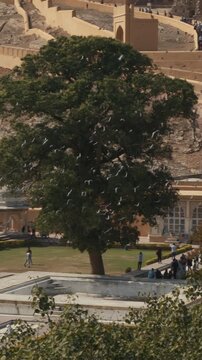 Jaipur, Rajasthan, India. Time Lapse Tourists Walk At Dil Aaram Bagh, Or Mughal Gardens 18th Century Near Amer Fort Or Amber Fort, Amer. Timelapse, Time-lapse Visit Amber Fort. Travel To India