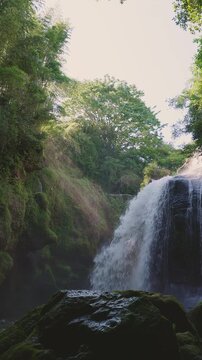 木漏れ日と光芒が降り注ぐ新緑の黄牛の滝 大分