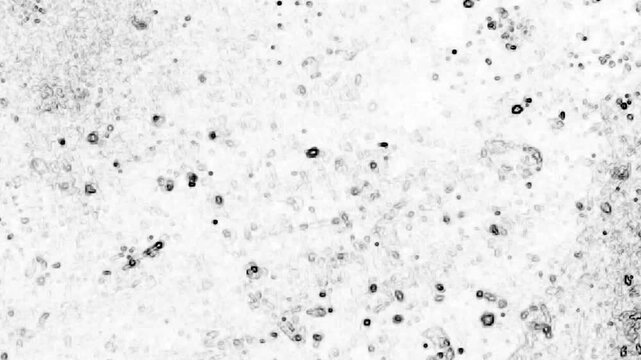 Grunge background Microscopic black dots and small grey circles with dusty texture, ideal for science, medical, or educational projects. Biological cells sample.
