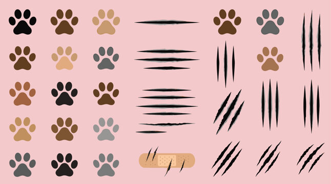 Cute animal paw prints and sharp wild cat claw scratch marks set with a medical bandage vector illustration