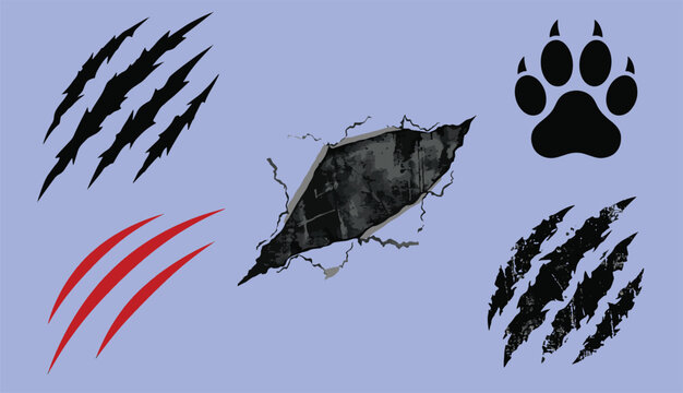 Wild beast claw marks set with animal paw print and ripped background slash elements for graphic design vector illustration