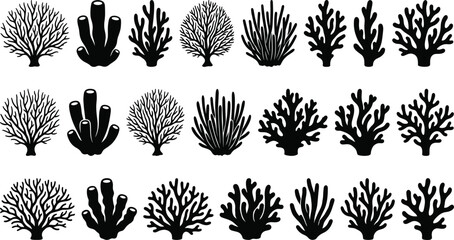 Coral reef silhouettes, underwater sea plants, ocean life, marine biology, aquatic nature, beach, summer, aquarium, isolated, black, white, decorative elements, collection, design, silhouette, reef. © MstSumi