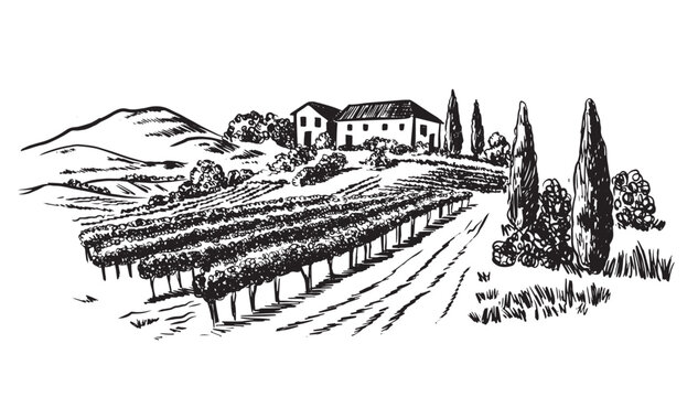 Vineyard landscape with building on the hill hand drawn
