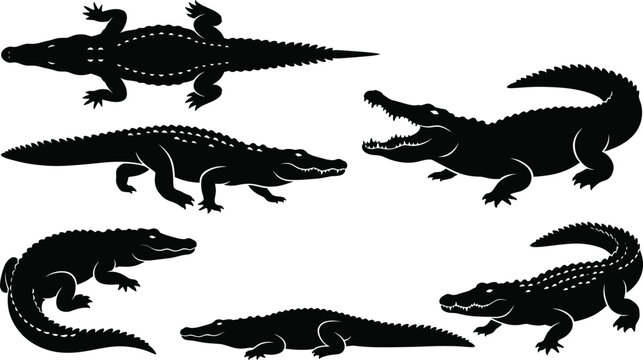 Crocodile silhouettes, alligator icons, wild reptiles, swamp predators, dangerous animals, nature wildlife, gharial shapes, tropical caiman, river monster, predator silhouettes, hunting, animal.