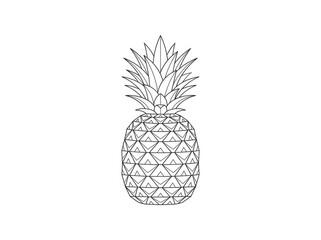 Obraz premium A detailed black and white line drawing depicts a pineapple. The pineapple has a textured, geometric pattern on its base and a spiky crown.