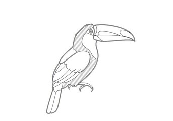Obraz premium A toucan illustration is depicted in a line art style. The toucan is shown in a side profile, facing to the right.