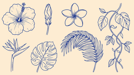 Tropical flowers and plants hand drawn doodle set with hibiscus plumeria monstera palm leaf bird of paradise botanical vector illustration © jonty