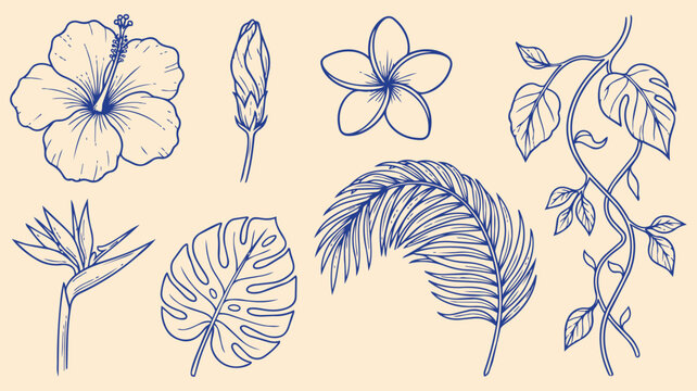 Tropical flowers and plants hand drawn doodle set with hibiscus plumeria monstera palm leaf bird of paradise botanical vector illustration