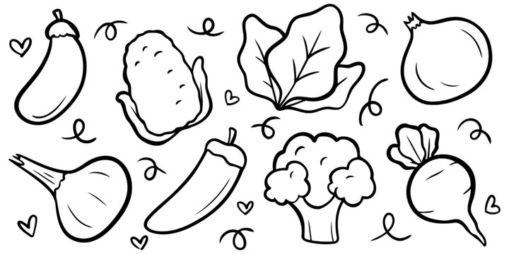 Hand drawn fresh vegetables vector doodles set containing eggplant corn cabbage onion garlic chili broccoli and radish for healthy food market design elements