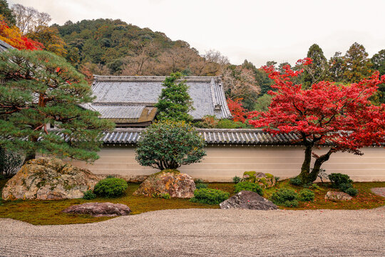 Serene Sand and Stone Garden in Kyoto Hojo Garden Nov 26 2025