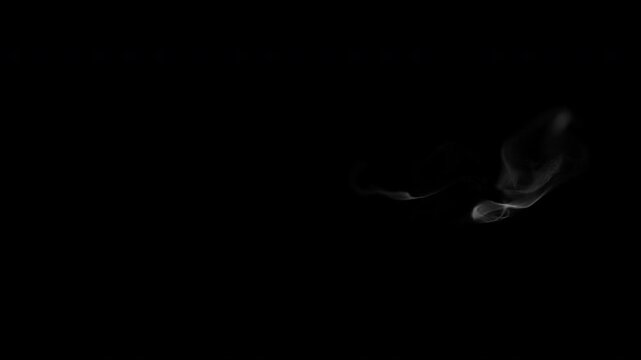 White Smoke Motion Graphic Transition