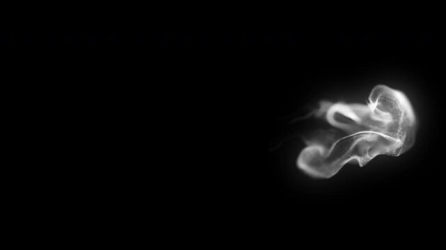 Dynamic Vapor Sweep Transition Effect