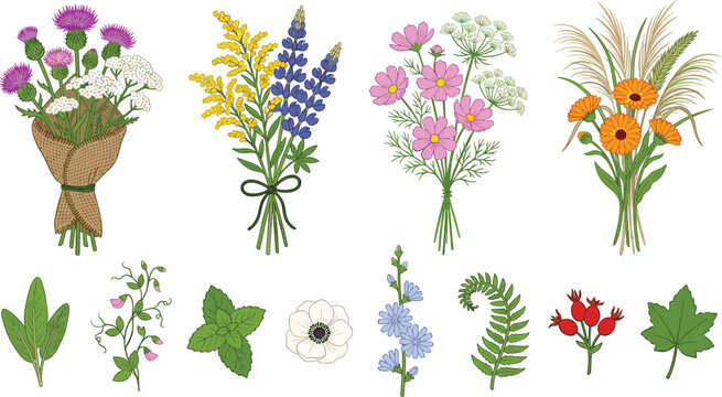 Rustic Wildflower Bouquet and Botanical Leaf Vector Set with Thistle Lupine Cosmos Calendula and Fern Elements for Autumn Graphic Designs