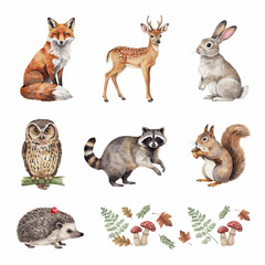 Fototapeta premium Forest animals including a fox, deer, rabbit, owl, raccoon, hedgehog, and squirrel are displayed as individual watercolor illustrations on a white background.