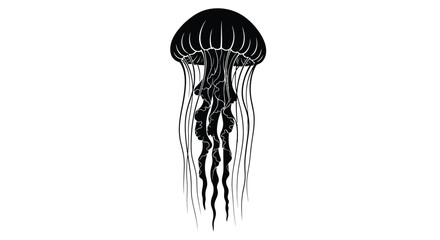 Elegant black and white jellyfish illustration with intricate details © JBO_STUDIO