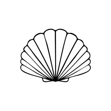 Simple line drawing of a scallop seashell showing radiating lines from the hinge