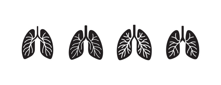 Four pairs of lungs with bronchial tree in different views  human anatomy  medical illustrations
