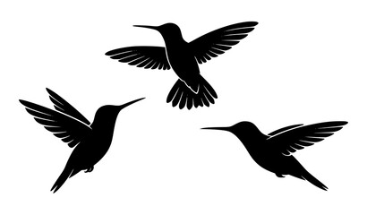 Naklejka premium Three Black Hummingbird Silhouettes in Flight Minimal Vector Illustration Isolated on White