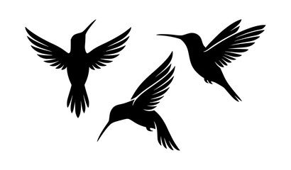 Obraz premium Elegant Black Hummingbird Silhouette Set with Three Flying Birds Vector on White Background