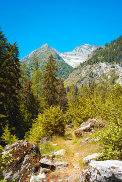 Summer panorama of the mountains surrounding the village of Antronapiana, in the Antrona Valley, near the Italy-Swiss borders (Piedmont, Northern Italy).