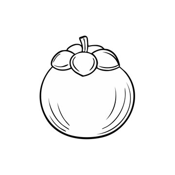Line art illustration of a single fresh mangosteen fruit with stem and sepals