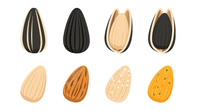 Set of sunflower seeds and almonds in flat vector style